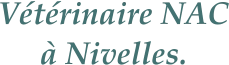 Vétérinaire NACà Nivelles.