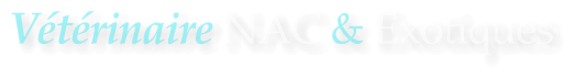 Vétérinaire NAC & Exotiques