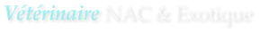 Vétérinaire NAC & Exotique