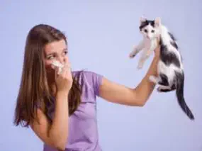 veterinaire de garde Ophain-Bois-Seigneur-Isaac