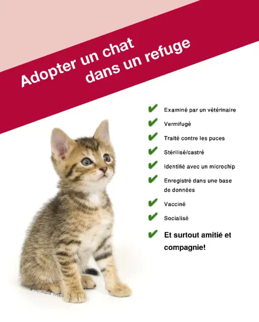 veterinaire de garde Waterloo