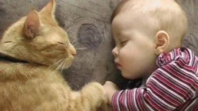 veterinaire de garde Ways