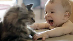 veterinaire de garde Ways