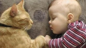 veterinaire de garde Ways